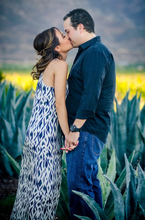 Engagement valle de guadalupe el cielo Elda y jp vineyard couple lizeth aviles photography
