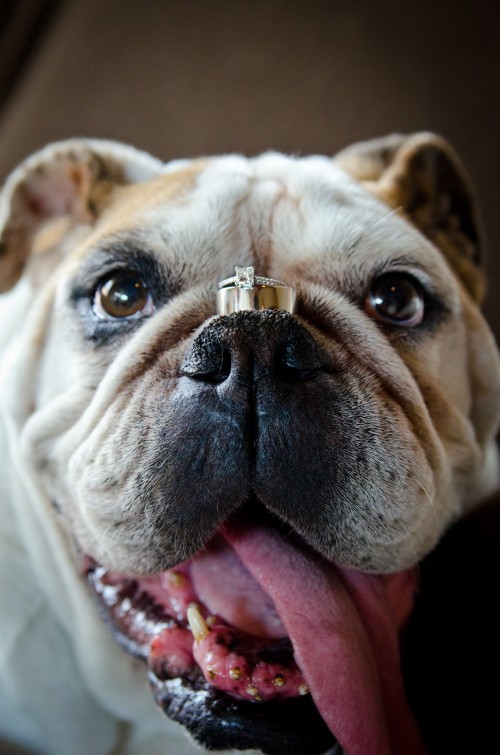 Wedding couple love boda lizeth aviles photography