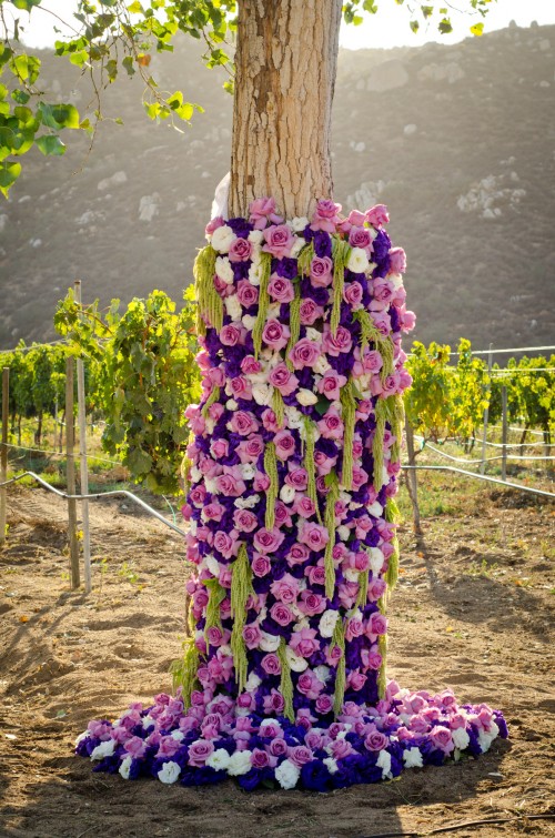 Wedding couple love boda lizeth aviles photography