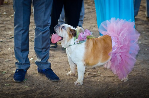Wedding couple love boda lizeth aviles photography