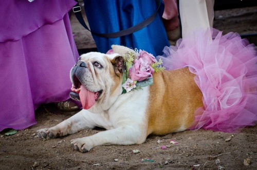 Wedding couple love boda lizeth aviles photography