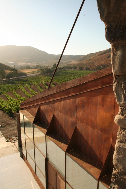 Vinedos Santo Tomas Valle Guadalupe Ensenada Baja California wine vineyards Lizeth Aviles Photography
