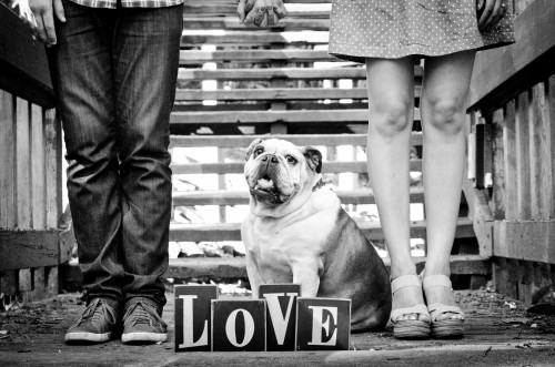Engagement san diego tree balboa Elizabeth y Ahmed park couple wedding  lizeth aviles photography