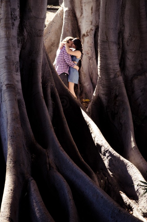 Engagement san diego tree balboa Elizabeth y Ahmed park couple wedding  lizeth aviles photography