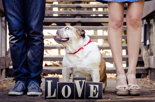 Engagement san diego tree balboa Elizabeth y Ahmed park couple wedding  lizeth aviles photography