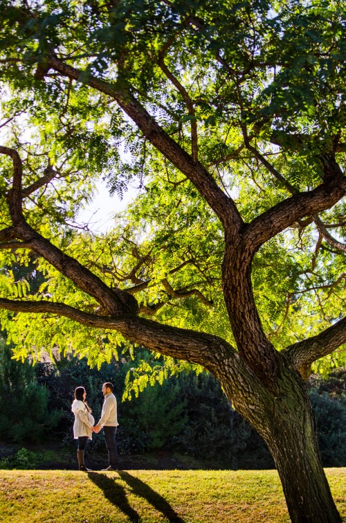 pregnancy embarazo tijuana san diego priscilla villegas park belly bun oven lizeth aviles photography