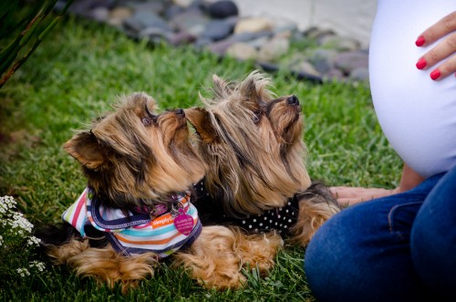 pregnancy embarazo tijuana san diego yadira ramirez belly bun oven lizeth aviles photography